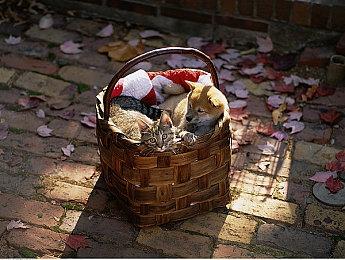 《漫威暗夜之子》深度介绍视频 内含全新实机演示内容